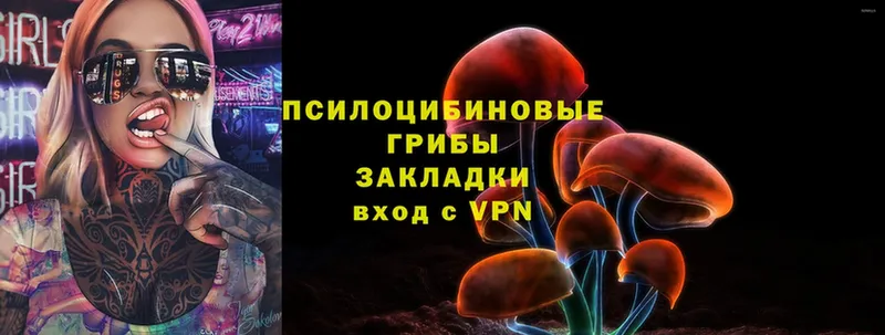 Галлюциногенные грибы Psilocybe  что такое   ОМГ ОМГ ссылки  мориарти наркотические препараты  Байкальск 